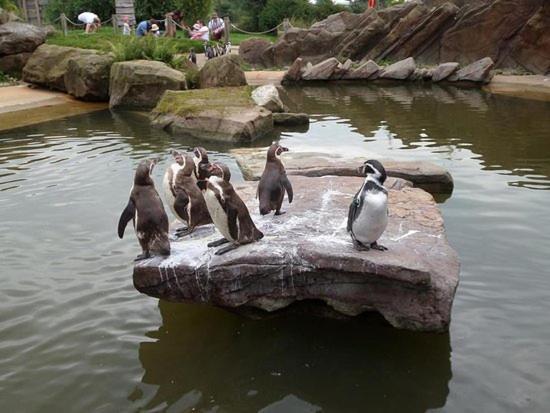 Chic 2 Bed Peak District Cottage Barn Near Alton Towers, Polar Bears, Chatsworth House Leek Ngoại thất bức ảnh