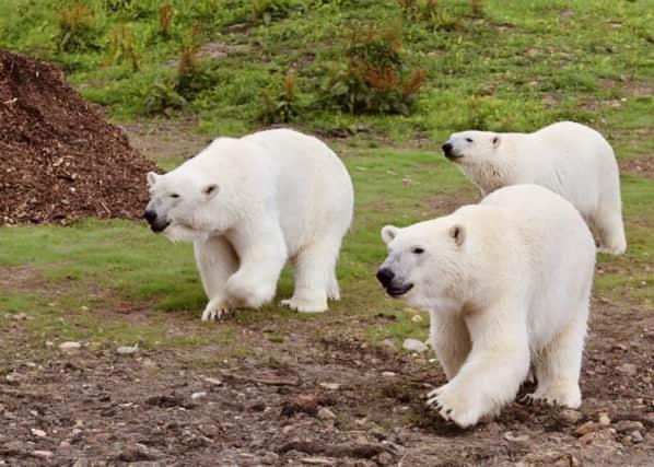 Chic 2 Bed Peak District Cottage Barn Near Alton Towers, Polar Bears, Chatsworth House Leek Ngoại thất bức ảnh